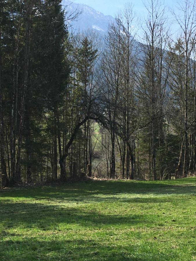 Wengerwirt Zur Laube Bed & Breakfast Weng im Gesause Exterior photo