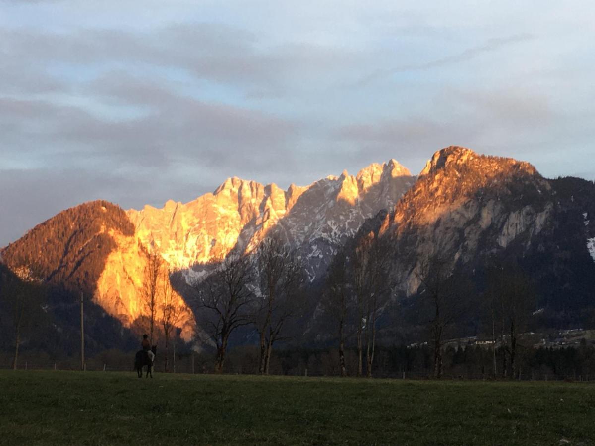 Wengerwirt Zur Laube Bed & Breakfast Weng im Gesause Exterior photo