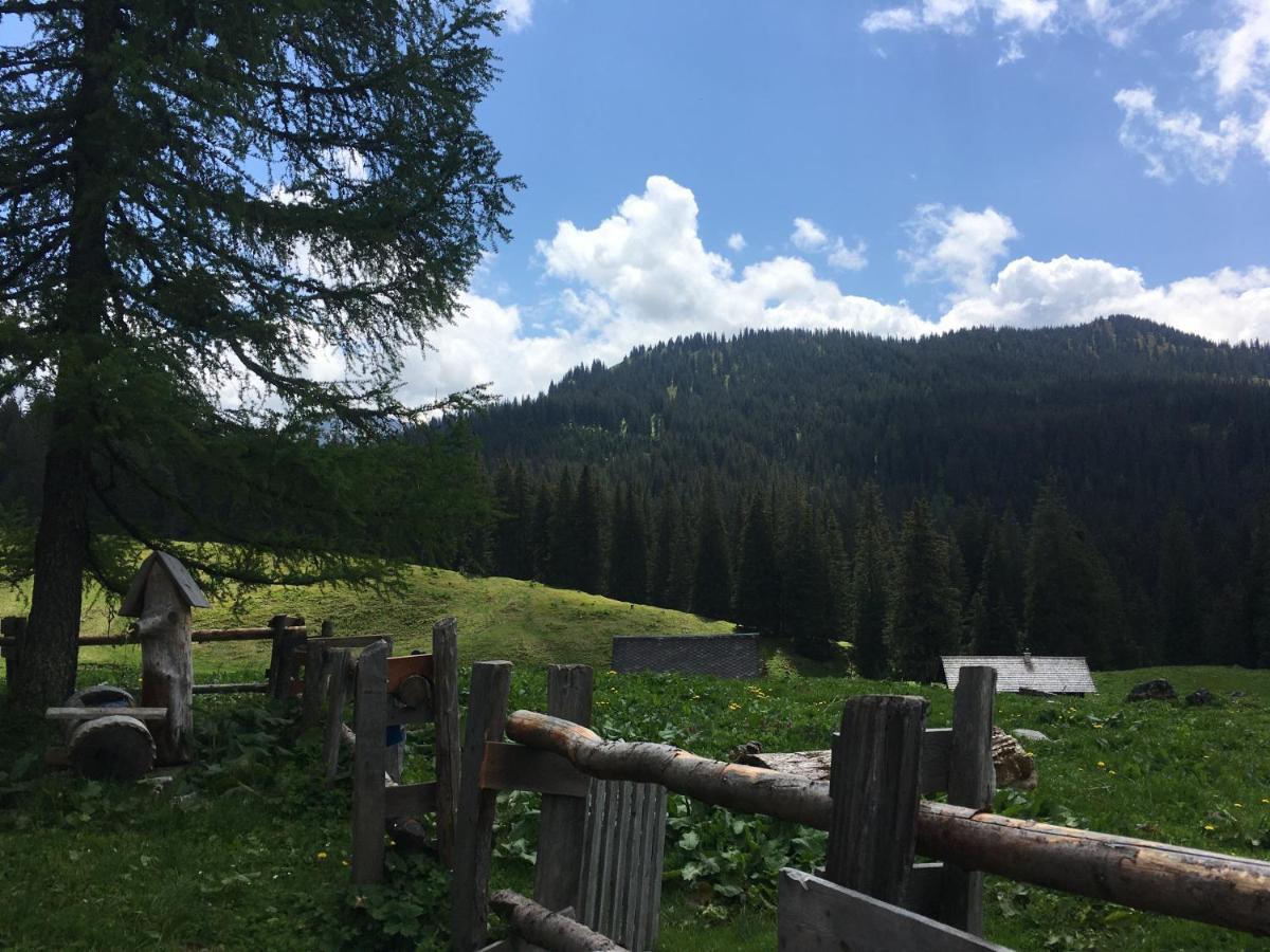Wengerwirt Zur Laube Bed & Breakfast Weng im Gesause Exterior photo