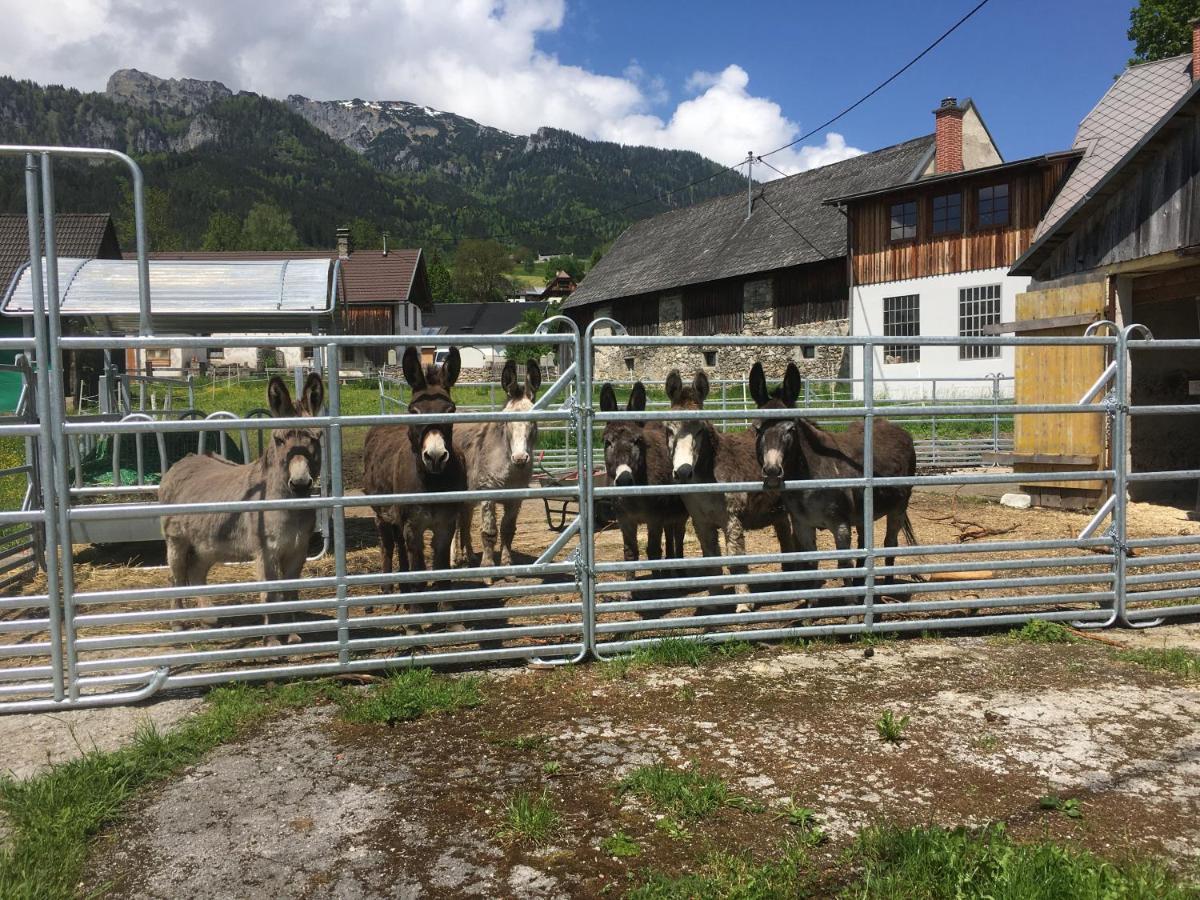 Wengerwirt Zur Laube Bed & Breakfast Weng im Gesause Exterior photo